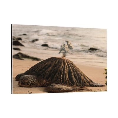 Turtle Island - plexiglass image