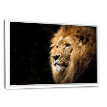 Lion View - image en plexiglas 8