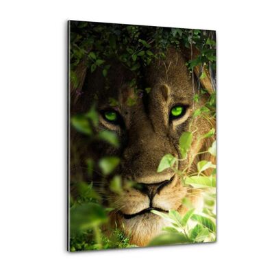 Portrait de lion - image en plexiglas
