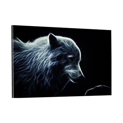 Loup arctique rougeoyant - image en plexiglas
