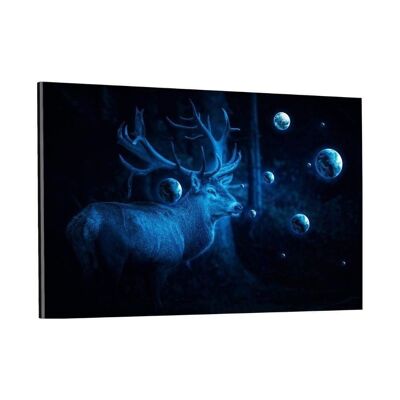 Deer Cosmos - immagine in plexiglass