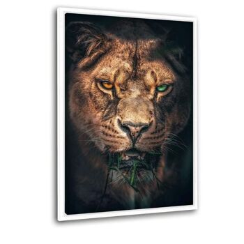 Le bandit vert - image en plexiglas 8