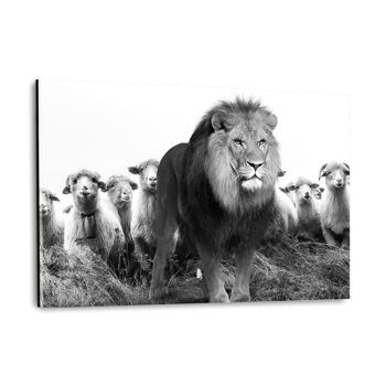 Lion parmi les moutons - image en plexiglas