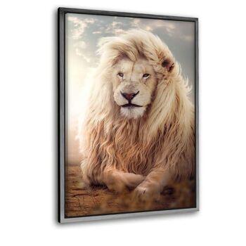 Grand Lion - image en plexiglas 7