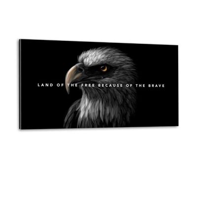 Eagle Land - immagine in plexiglass