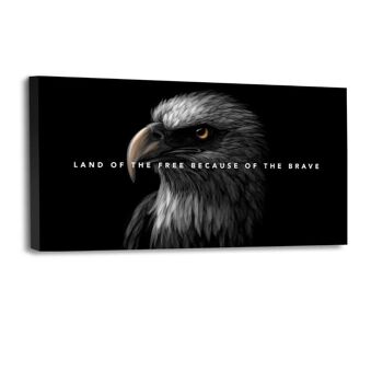 Eagle Land - image en plexiglas 4