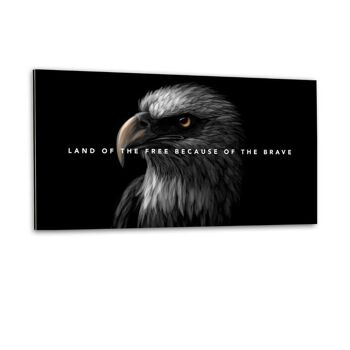 Eagle Land - image en plexiglas 5