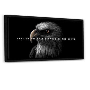 Eagle Land - image en plexiglas 6