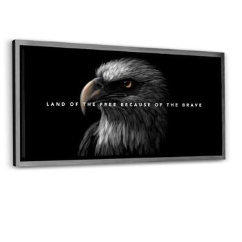 Eagle Land - image en plexiglas 7