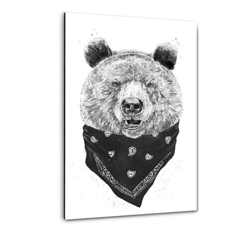 Wild Bear -Plexiglasbild