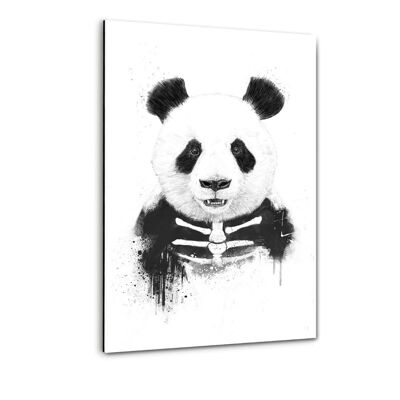 Zombie Panda - immagine in plexiglass