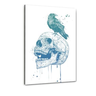 La calavera - imagen de plexiglás