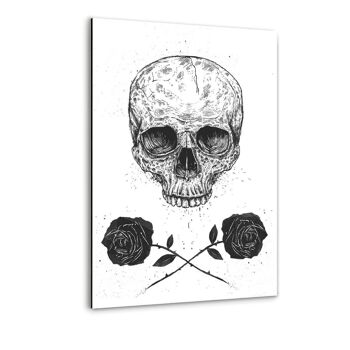 Skull N Roses - image en plexiglas 5
