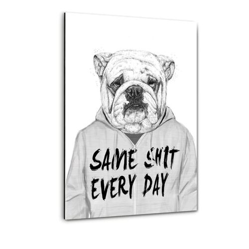 Same Shit Every Day - Plexiglasbild