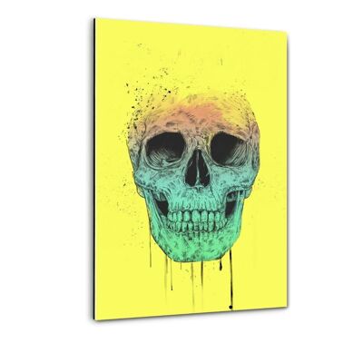 Pop Art Skull - imagen de plexiglás