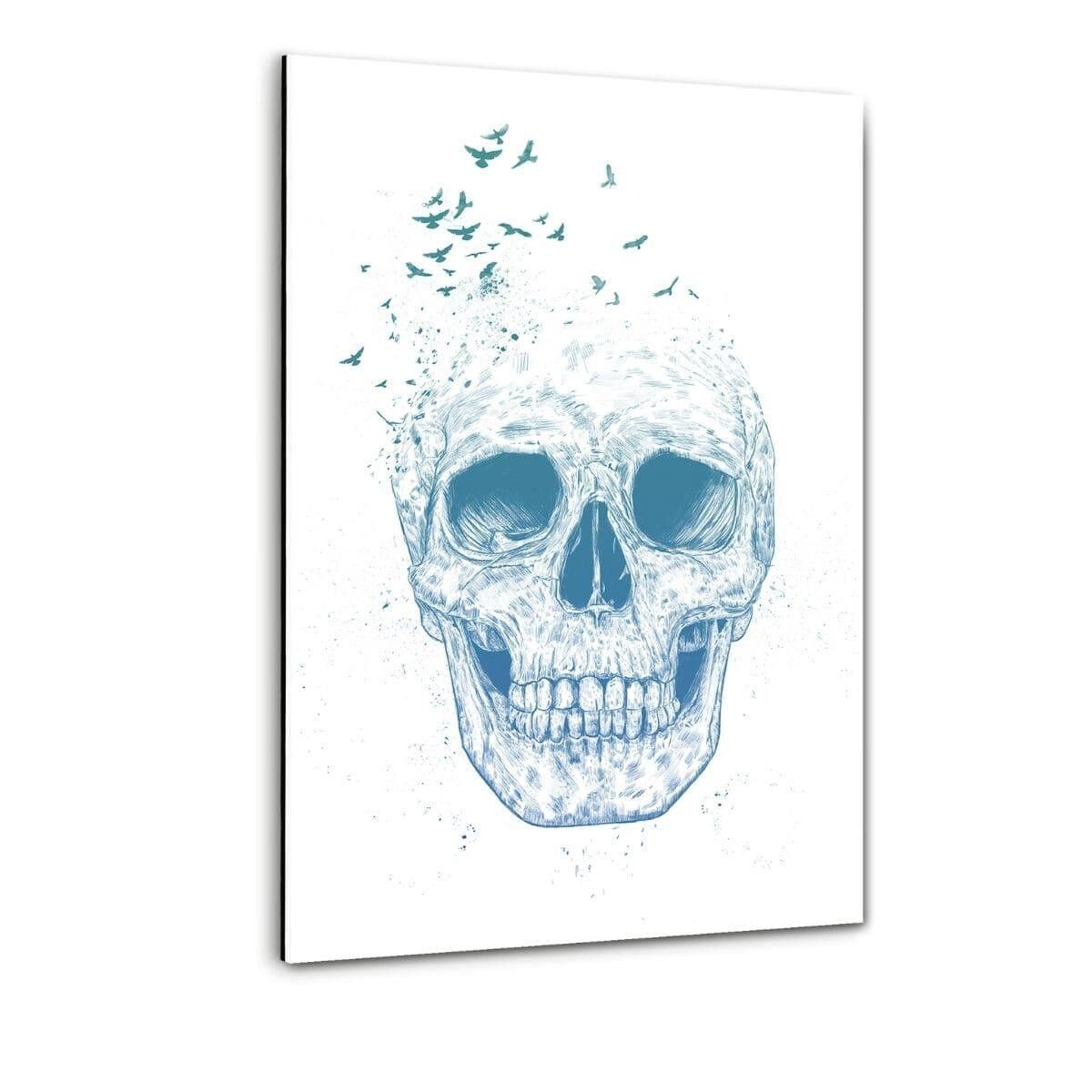 Let Them Fly #1 - plexiglass image