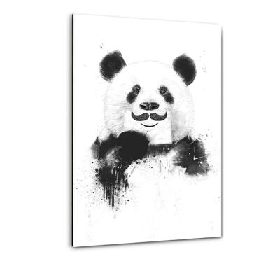 Panda divertido - imagen de plexiglás