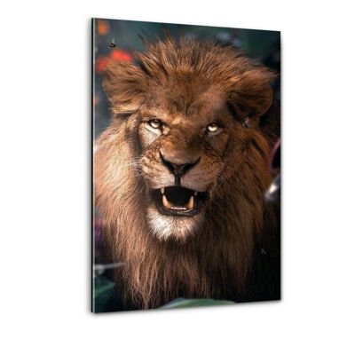 Lion sauvage - image en plexiglas