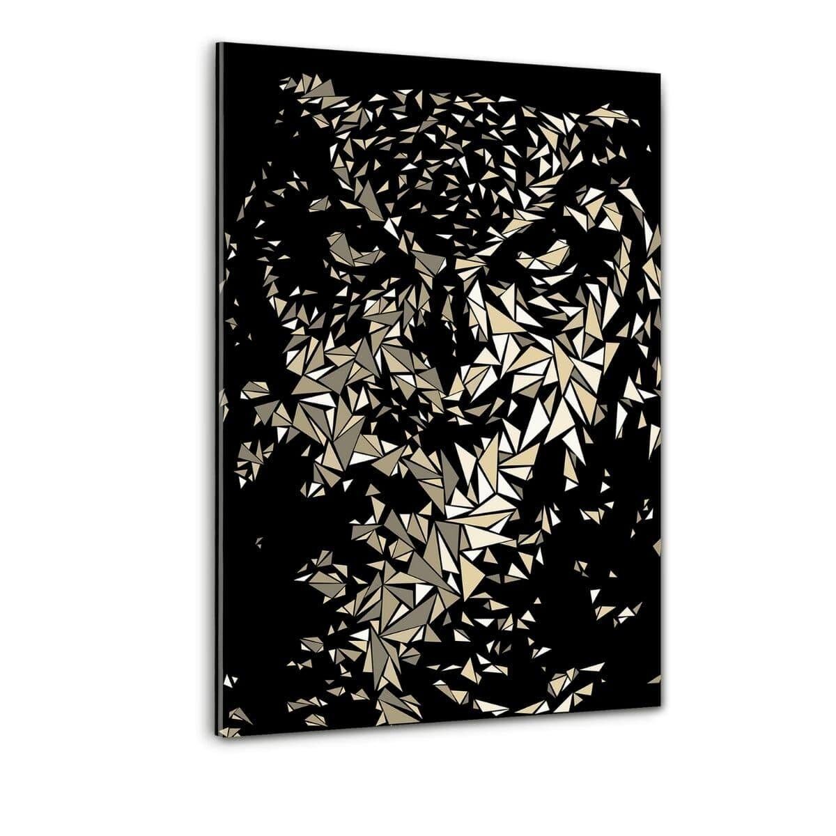 Il gufo - immagine in plexiglass