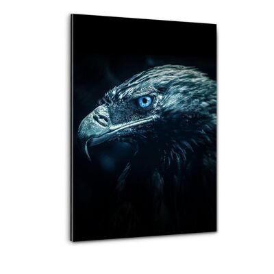 Aquila magica - immagine in plexiglass