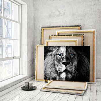 Lion n/b - image en plexiglas 3