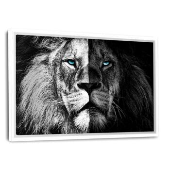 Lion n/b - image en plexiglas 9