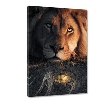 Lion & Fossile - Tableau Plexiglas 4