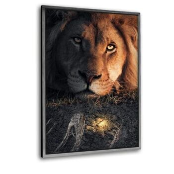 Lion & Fossile - Tableau Plexiglas 7