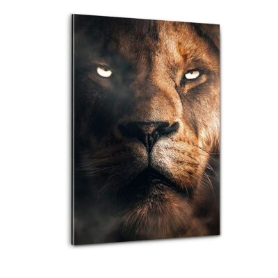 Lion Face - Plexiglasbild