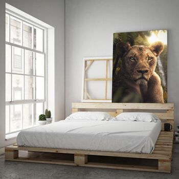 Lion de la jungle - image en plexiglas 2