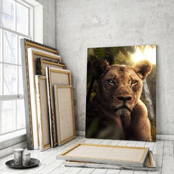 Lion de la jungle - image en plexiglas 3