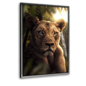 Lion de la jungle - image en plexiglas 7