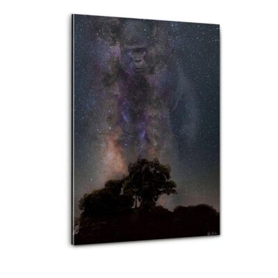 Gorila Galaxy - Plexiglás