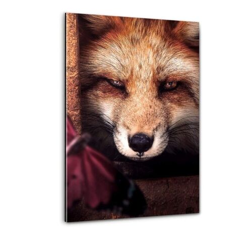 Fox & Butterfly - Plexiglasbild