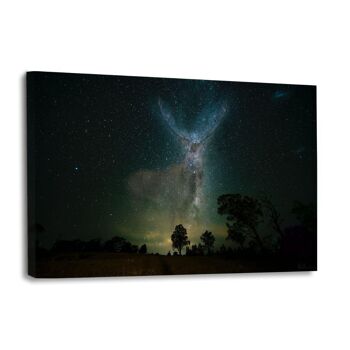 Galaxy Deer - image en plexiglas 4