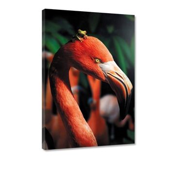 Flamant rose et la grenouille - Tableau en plexiglas 4