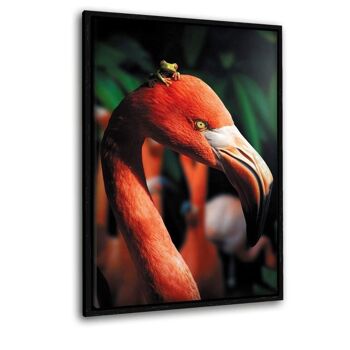 Flamant rose et la grenouille - Tableau en plexiglas 6