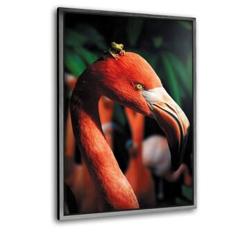 Flamant rose et la grenouille - Tableau en plexiglas 7