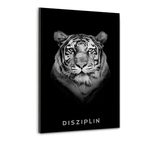 DISZIPLIN - Plexiglasbild