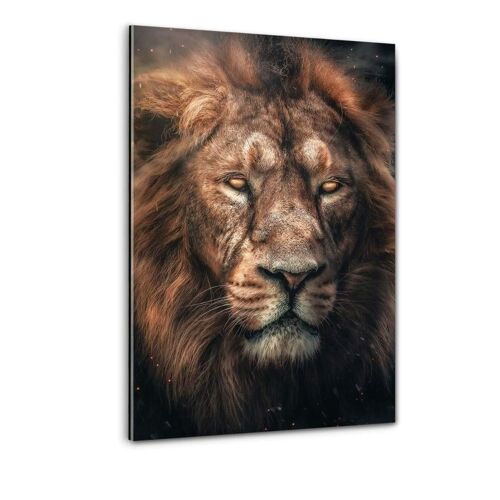 Dark Lion - Plexiglasbild