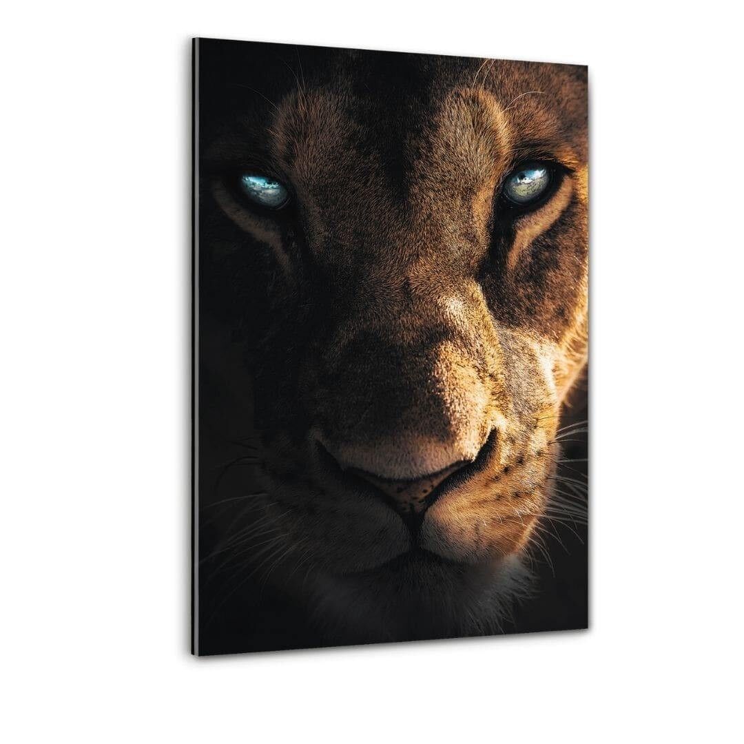 Be Focused - Plexiglasbild