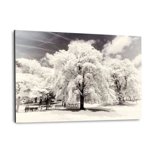 Paris Winter White - Trees - Alu-Dibond Bild