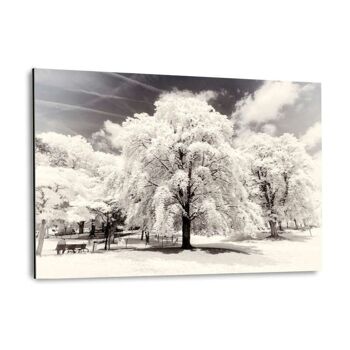 Paris Winter White - Arbres - Image Alu-Dibond 1