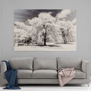 Paris Winter White - Arbres - Image Alu-Dibond 2