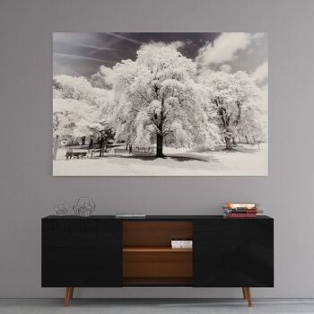 Paris Winter White - Arbres - Image Alu-Dibond 3