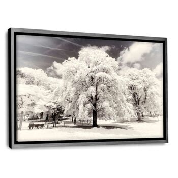 Paris Winter White - Arbres - Image Alu-Dibond 7