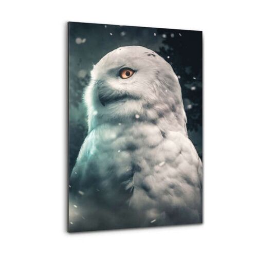 Snowy Owl - Alu-Dibond Bild