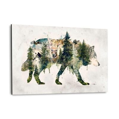 Wolf World - Immagine in alluminio Dibond