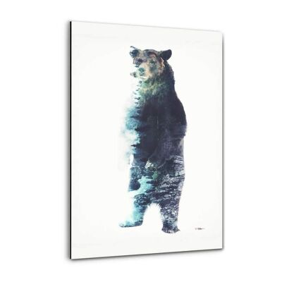 Surreal Bear - Alu-Dibond Bild