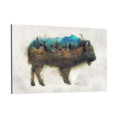 Buffalo World - Immagine in alluminio Dibond